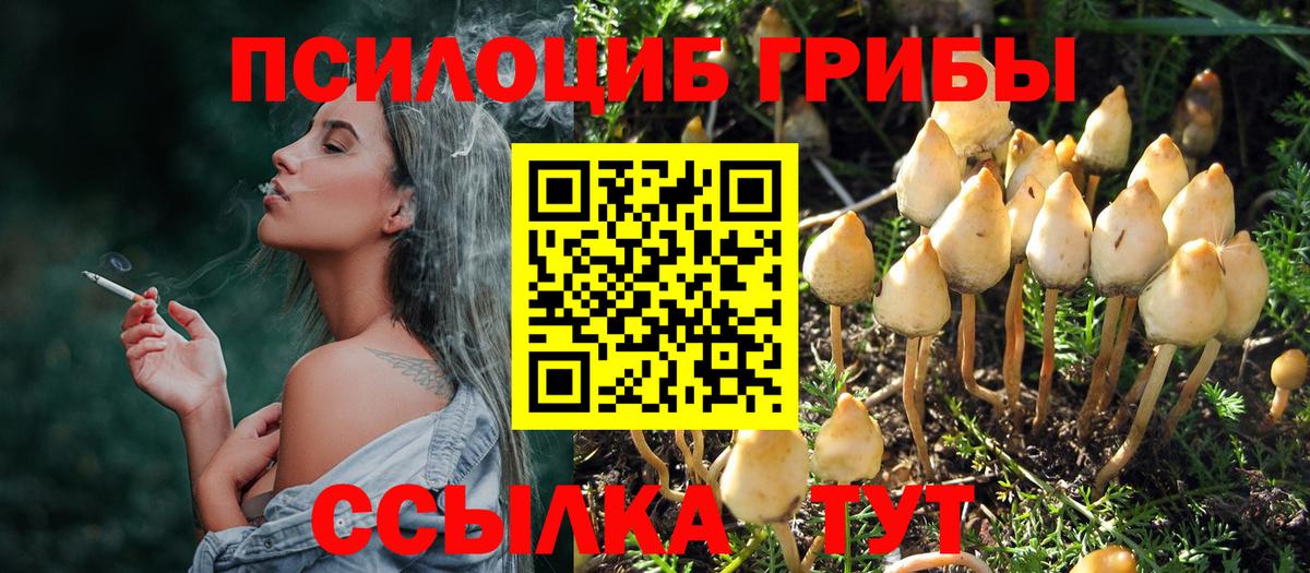 Заводоуковск  Псилоцибиновые грибы Magic Shrooms  Вход с VPN 