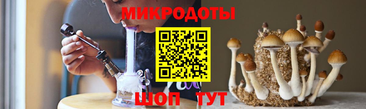 Псилоцибиновые грибы Psilocybe Заводоуковск